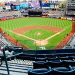 people at the baseball field