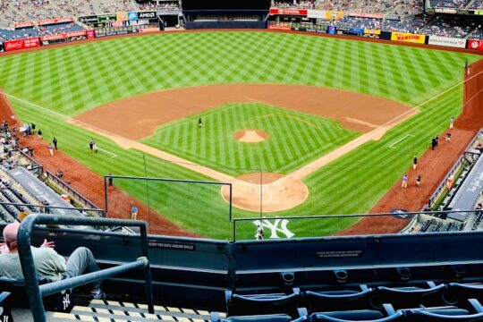 people at the baseball field