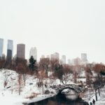 snow covered road near city buildings during daytime