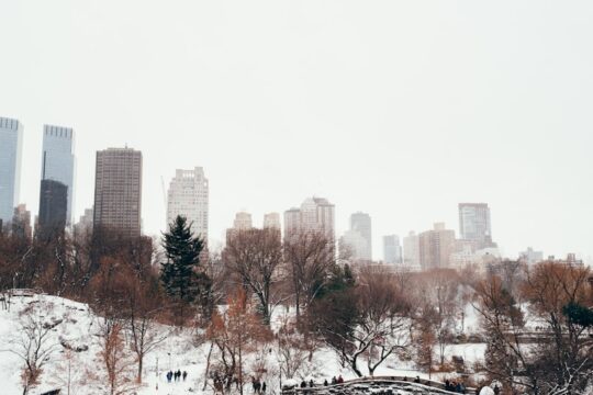 snow covered road near city buildings during daytime