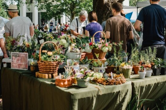people beside assorted plants on table